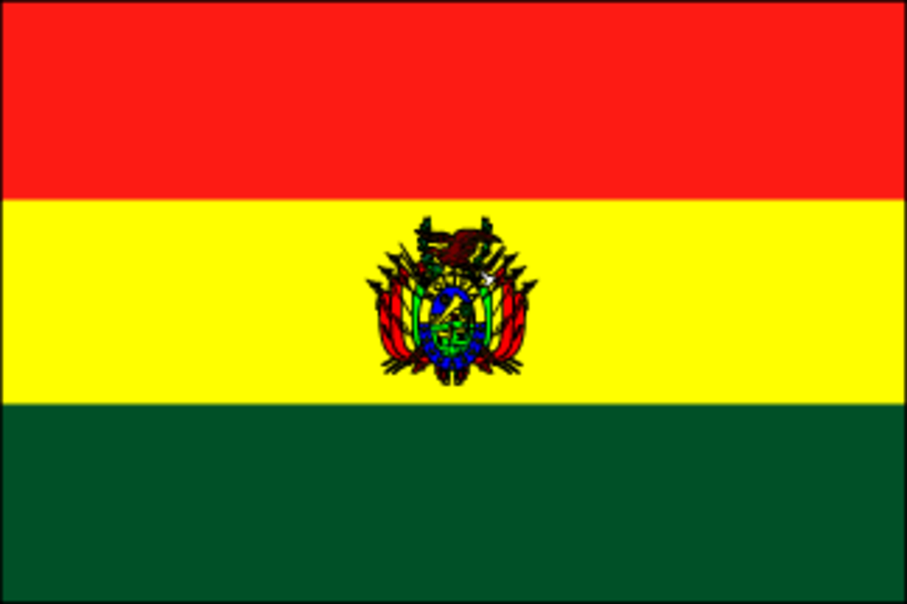3x5 Foot (90x150 cm) Bolivia International Polyester Indoor/Outdoor Flag